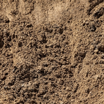 Screened Fill Dirt - 