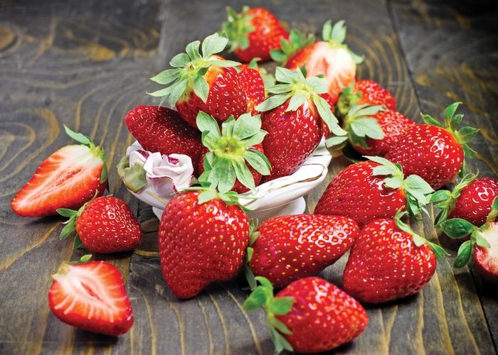 'Fort Laramie' Fort Laramie Strawberry - Fragaria from IGC Quicksite Upgrade